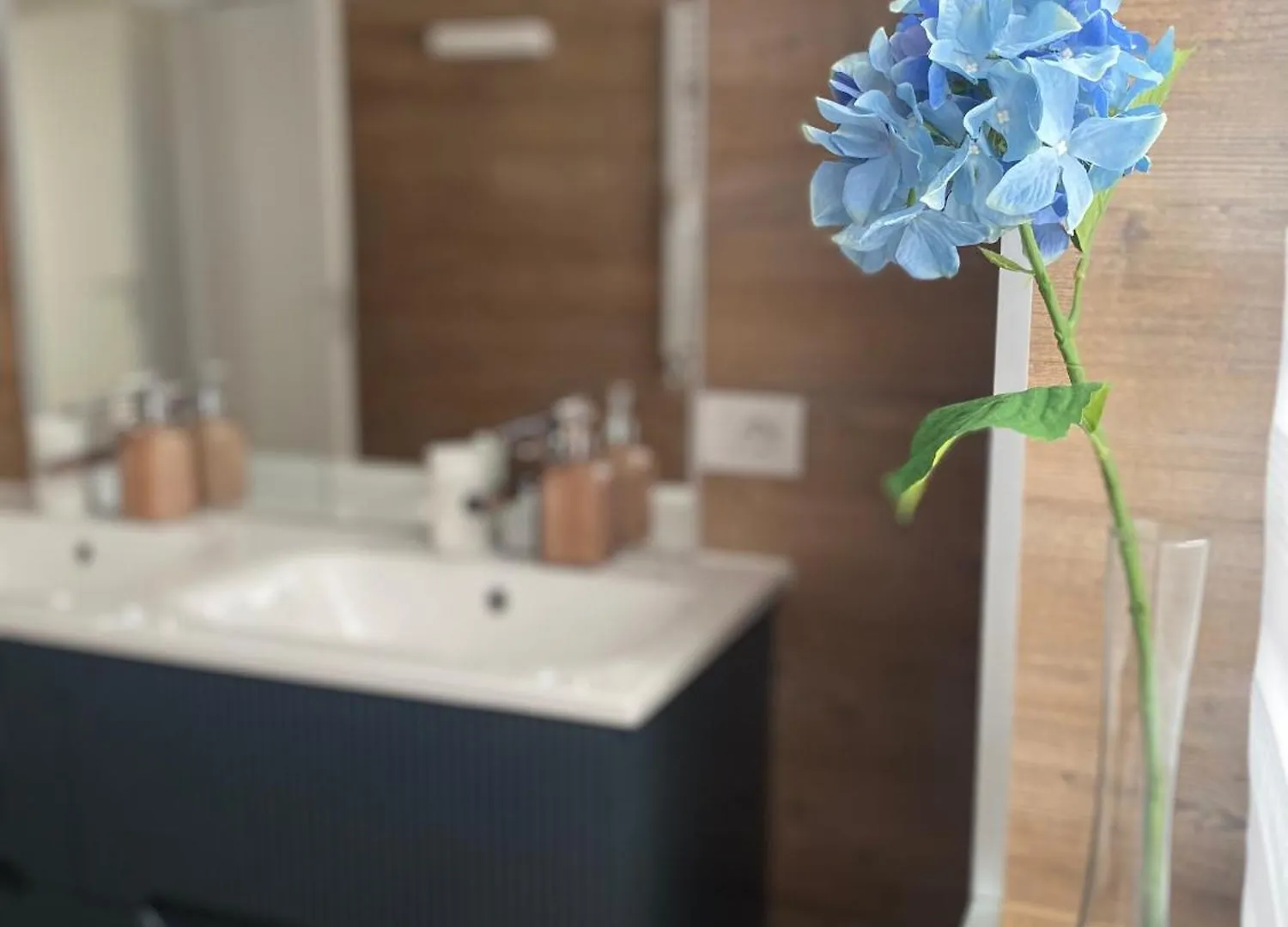 Appartamento Residenze Lizzeri Casa Moniga Moniga del Garda Italia