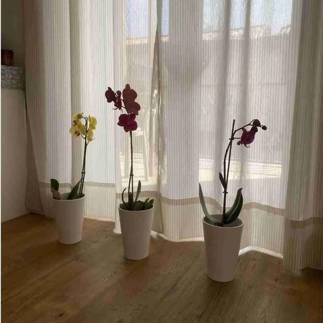 Appartamento Residenze Lizzeri Casa Moniga Moniga del Garda 0*,