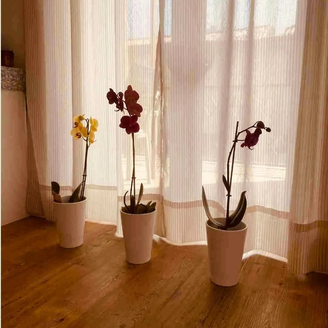 Appartamento Residenze Lizzeri Casa Moniga Moniga del Garda